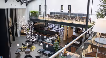 Rymligt, modernt inomhuscafé med entresolplan. På nedervåningen finns runda bord och stolar, och på övervåningen finns det fler sittplatser. Glasräcken och stora fönster ger naturligt ljus. Frodiga gröna växter och abstrakta ljuskronor pryder utrymmet.
