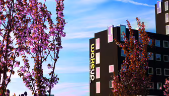 En modern svart byggnad med en skylt med texten "vakna upp" står mot en blå himmel. I förgrunden finns blommande körsbärsträd och ett fält med färgglada tulpaner i olika nyanser.
