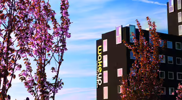 En modern svart byggnad med en skylt med texten "vakna upp" står mot en blå himmel. I förgrunden finns blommande körsbärsträd och ett fält med färgglada tulpaner i olika nyanser.