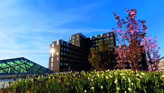 Modern byggnad med glasstruktur till vänster och livfulla tulpaner i förgrunden. En klarblå himmel och ett blommande träd kompletterar scenen.