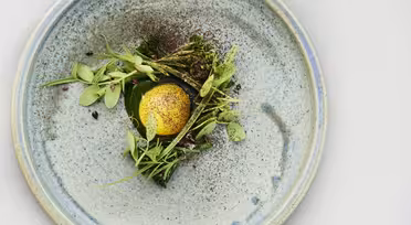En spräcklig keramisk tallrik med ett minimalistiskt arrangemang av mikrogrönt, en knallgul såsklick beströdd med svartpeppar och spridda örter och ätbara blommor, vilket skapar en delikat, konstnärlig presentation.
