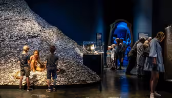 Människor utforskar en museumsutställning med utställningar av antika artefakter. En kvinna sitter på en stor kulle av snäckor. Barn och vuxna observerar olika föremål. Inramningen har mörka väggar och fokuserad belysning på utställningsföremålen.